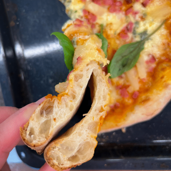 Veebikoolitus "Pizza"+ magus kingitus - Image 4
